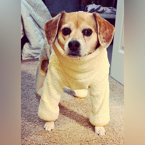 Little Beast Dog Little Beast Mary Jane Fleece Onesie Poshmark